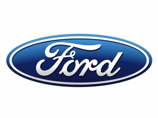 Wieldop 14 inch Ford 2058231 - 1892673 (Origineel losse dop) - Afbeelding 6